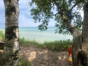 Meet your Posher, Aliya